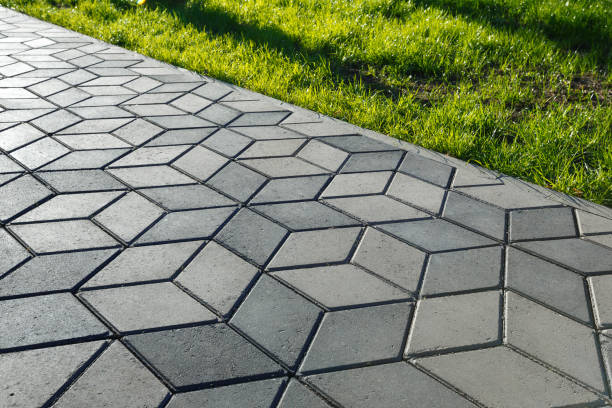Best Best Driveway Pavers  in Silver Springs, NV